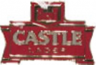 Lapel Badge Castle