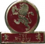 Lapel Badge Tvl