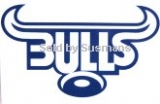 Stickers Bulls  11cm x 7cm