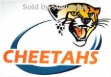 Stickers Cheetahs  11cm x 7cm