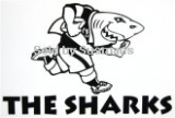 Stickers Sharks  11cm x 7cm