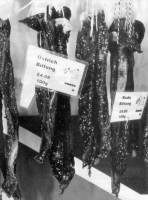 biltong hanging up