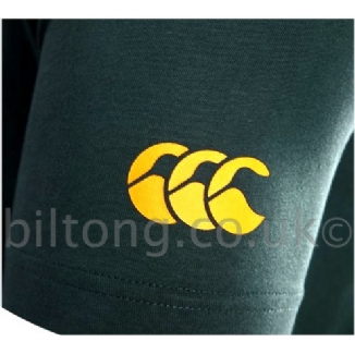 2013 Springboks Graphic Coton Tee Shirt Bottle Green