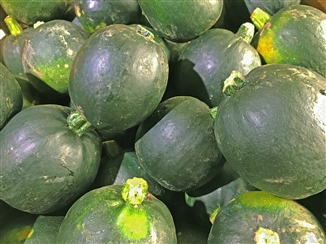 Organic Small Gem Squash pack of 3