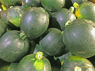 Organic Small Gem Squash pack of 5