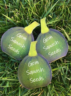 Gem Squash Seeds