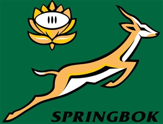 Springbok Sticker 9cm x 6cm 