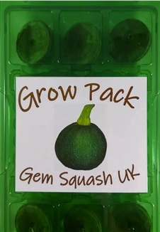 Gem Squash Grow Pack